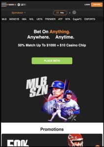 MyBookie screenshot